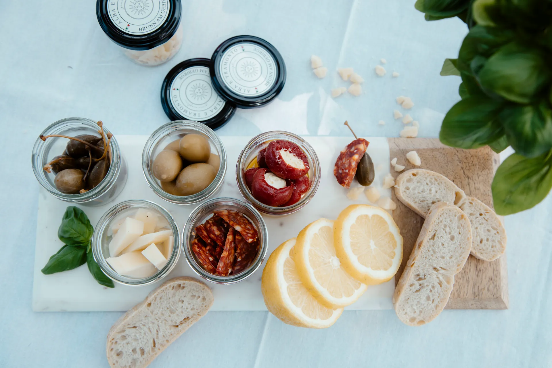 BenjaminHofer_0077 (1)