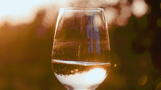 Time - Momo and the Nepomuks